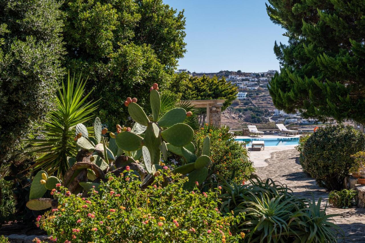 Yalos Mykonos Ornos Pouli Private Apartments W Shared Swimming Pool Mykonos Town Exterior foto